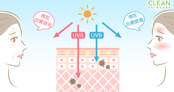 CLEAN Blog - 防曬霜能同時阻擋UVA同UVB嗎？